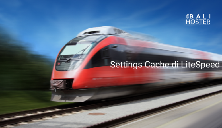 Panduan Lengkap Cache Control Settings di LiteSpeed Cache untuk Website Cepat dan Stabil